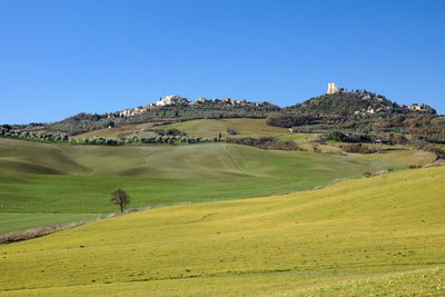 Scenic view of landscape against clear blue sky