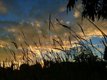 Scenic view of landscape against sky at sunset