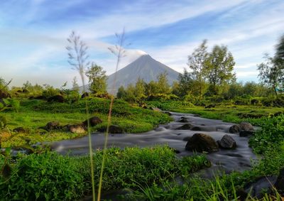 Scenic view of landscape against sky