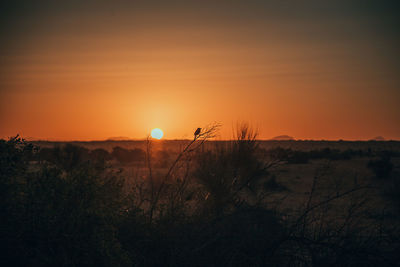 Scenic view of sunset