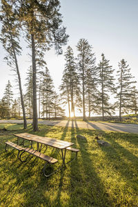 Sun rises over picnic tables at rest area in forest along maine coast