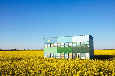 Scenic view of field against clear blue sky