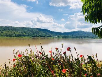 Scenic view of lake against cloudy sky