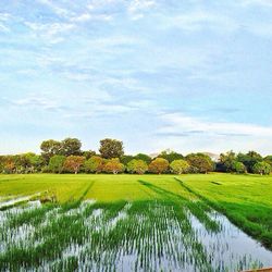 Scenic view of lake against cloudy sky