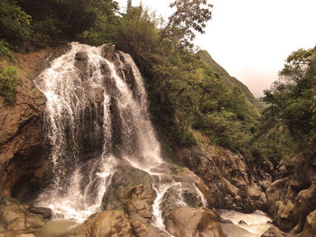Scenic view of waterfall in forest