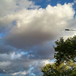 Low angle view of bird flying against sky