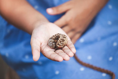 Midsection of girl holding insect at home