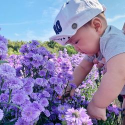 Cute boy touching flowering plants at field