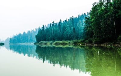 Scenic view of lake by trees against clear sky