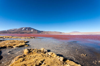 Scenic view of arid landscape against clear blue sky