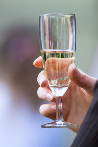 Cropped image of person holding champagne flute