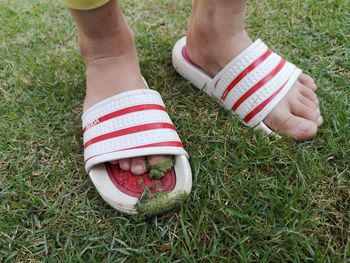 Low section of man wearing shoes on field