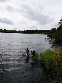 View of dog on lake against sky