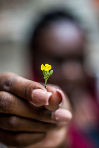 Close-up of hand holding flower