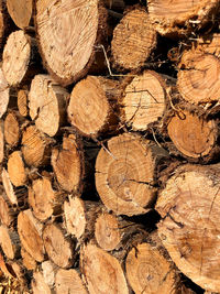 Full frame shot of logs in forest