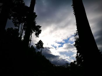 Low angle view of silhouette trees against sky