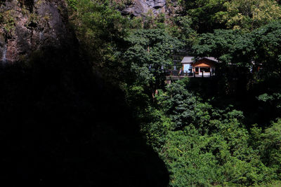 House amidst trees and plants growing in forest