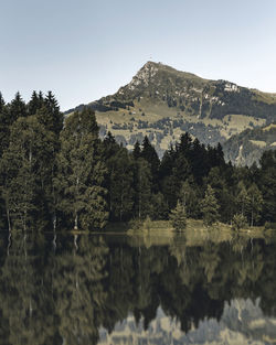 Scenic view of lake by trees against clear sky