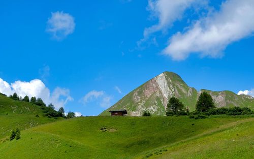 Scenic view of landscape against blue sky