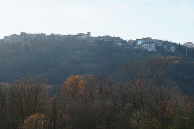 Trees and buildings in city against sky