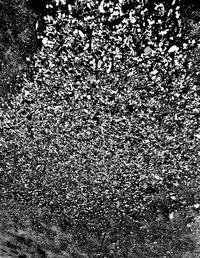 Full frame shot of stones on land