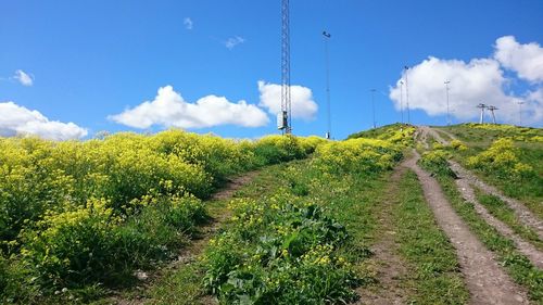 Scenic view of field against cloudy sky