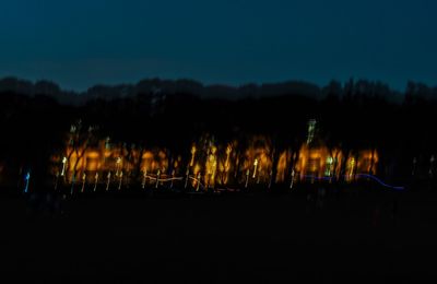 Silhouette plants against sky at night