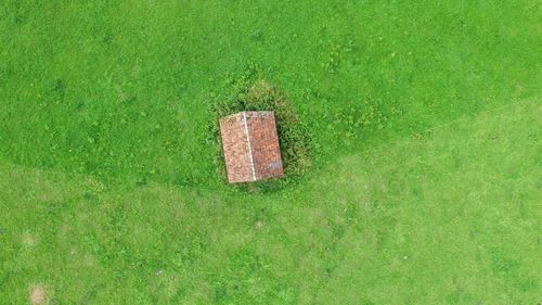 High angle view of abandoned grass on field