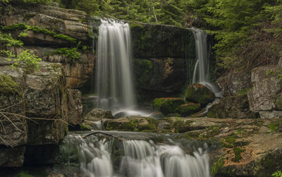 Scenic view of waterfall in forest