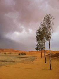 Scenic view of field against cloudy sky