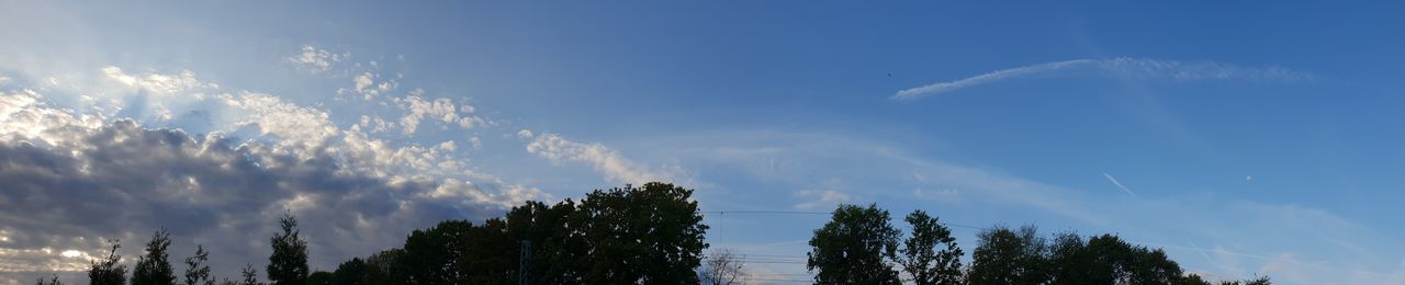 Low angle view of trees against sky