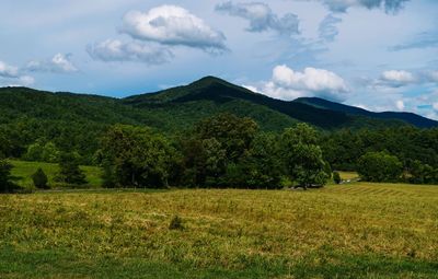 Scenic view of green landscape against sky
