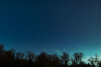 Low angle view of silhouette trees against star field at night