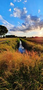 Scenic view of land against sky