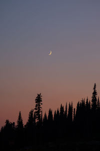 Silhouette trees against sky at dusk