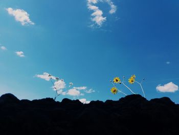 Low angle view of lizard against blue sky