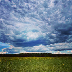 Scenic view of field against sky