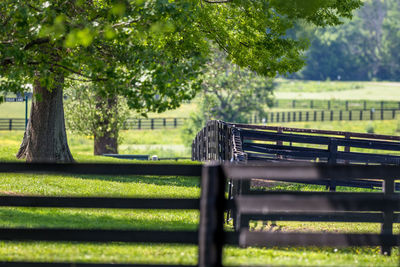 Fence on field in a rural scene