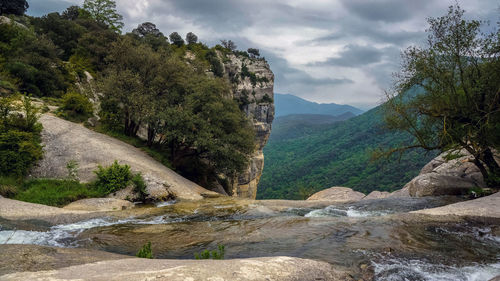 Scenic view of river amidst trees against sky