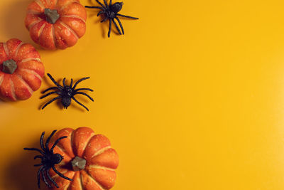 Close-up of pumpkin against orange background