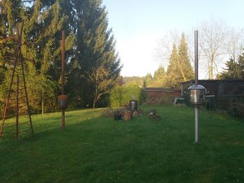 Trees on field in park against sky