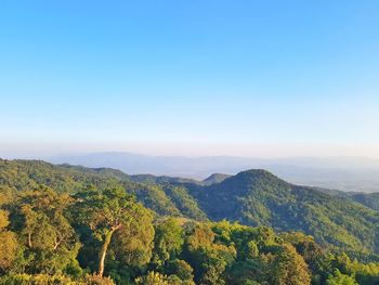 Scenic view of landscape against clear blue sky