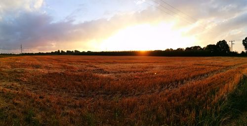 Scenic view of field at sunset