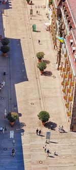 High angle view of city street