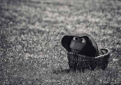 View of grassy field