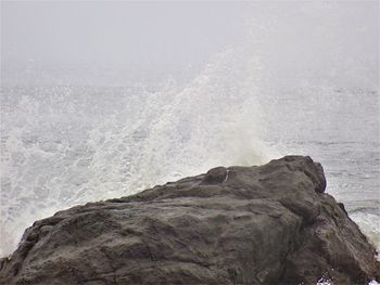 Rock formation on sea shore