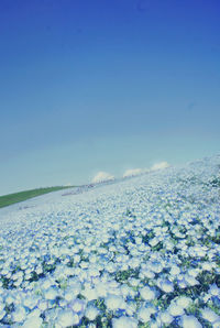 Scenic view of blue sky during winter