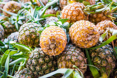 Pile of tropical fruits pineapples at market. can be used as food background