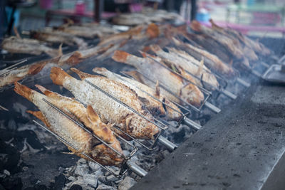 High angle view of fish on street