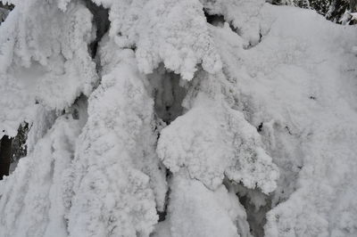 Close-up of snow